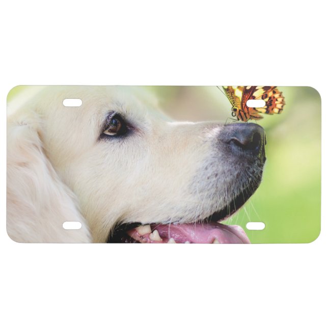 Labrador And Butterfly Throw Pillow License Plate (Front)