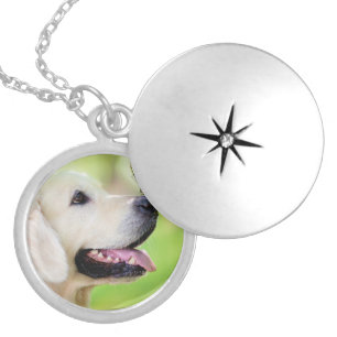 Labrador And Butterfly Throw Pillow Locket Necklace