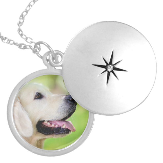 Labrador And Butterfly Throw Pillow Locket Necklace (Front)