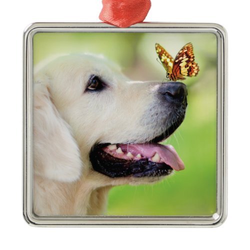 Labrador And Butterfly Throw Pillow Metal Ornament