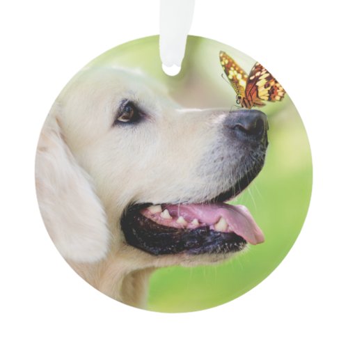 Labrador And Butterfly Throw Pillow Ornament