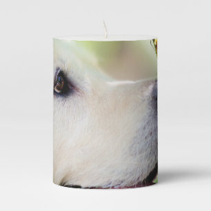 Labrador And Butterfly Throw Pillow Pillar Candle