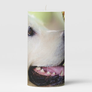 Labrador And Butterfly Throw Pillow Pillar Candle