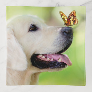 Labrador And Butterfly Throw Pillow Trinket Tray