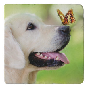 Labrador And Butterfly Throw Pillow Trivet