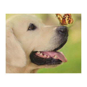 Labrador And Butterfly Throw Pillow Wood Wall Art
