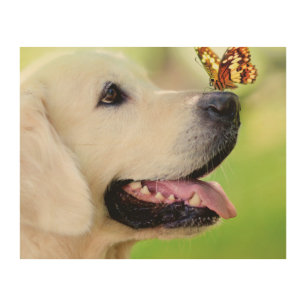 Labrador And Butterfly Throw Pillow Wood Wall Art