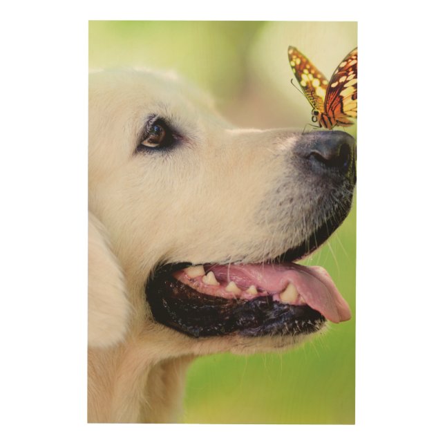 Labrador And Butterfly Throw Pillow Wood Wall Art (Front)