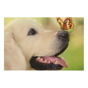 Labrador And Butterfly Throw Pillow Wood Wall Art