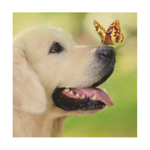 Labrador And Butterfly Throw Pillow Wood Wall Art