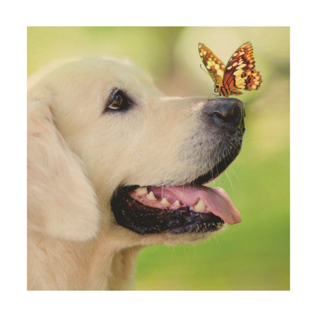 Labrador And Butterfly Throw Pillow Wood Wall Art (Front)