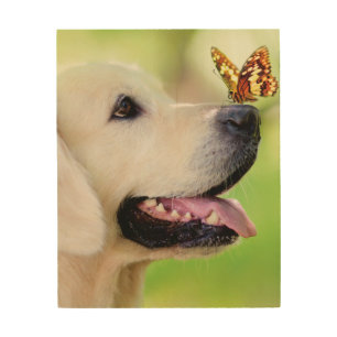 Labrador And Butterfly Throw Pillow Wood Wall Art