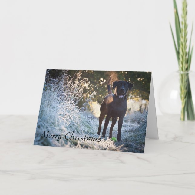 Labrador - Black Holiday Card (Front)