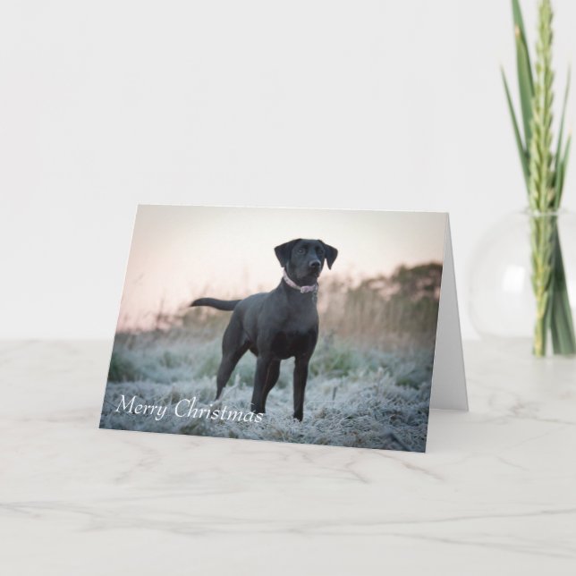 Labrador - Black Holiday Card (Front)