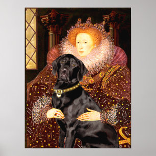Labrador (black) - Queen Poster