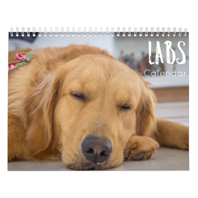 labrador calendar 2023 (Cover)