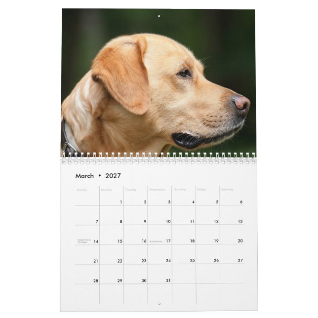Labrador Calender Calendar (Mar 2027)