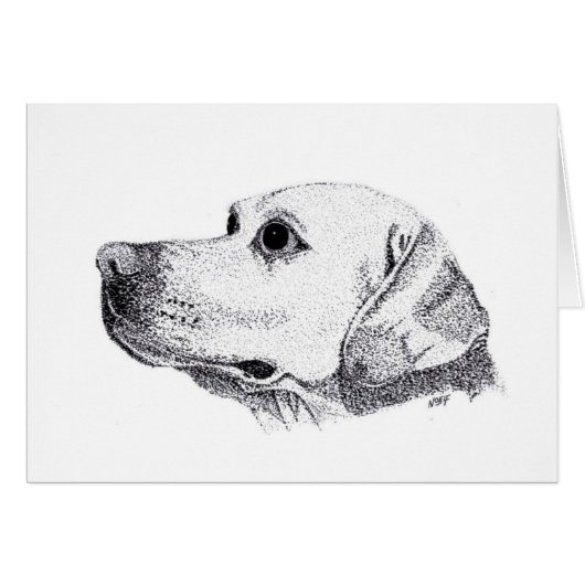 Labrador Cards (Front Horizontal)