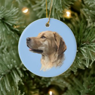Labrador