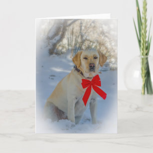 Labrador Christmas Card