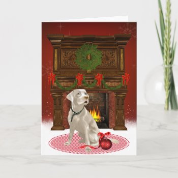 Labrador Christmas Card by ChristmasBellsRing at Zazzle