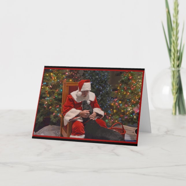 Labrador Christmas Holiday Card (Front)