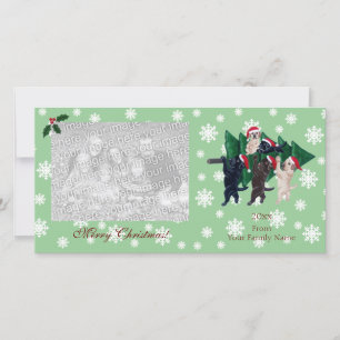 Labrador Christmas Painting Photocards Holiday Card