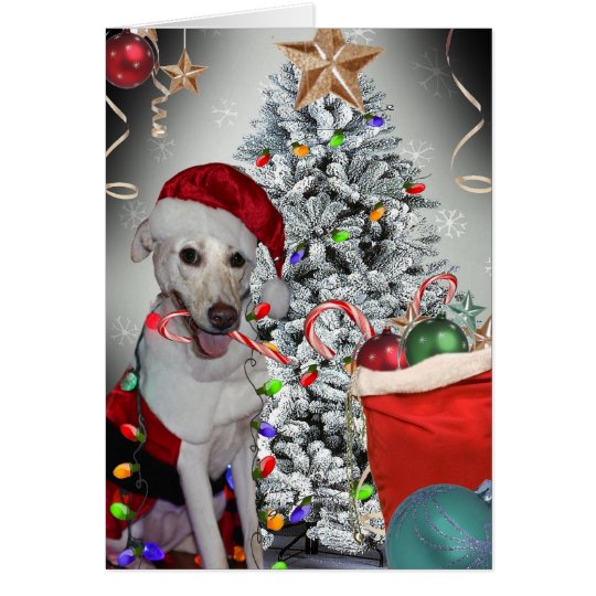 Labrador Christmas Tree Fun Card