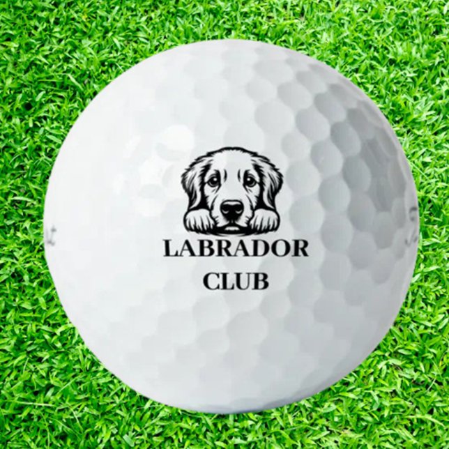 Labrador Custom Club Theme  Golf Balls (Labrador Custom Club Theme Tee off with a touch of personality and playfulness)