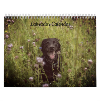 Labrador Custom Year Calendar