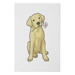 Labrador Daisy Faux Canvas Print