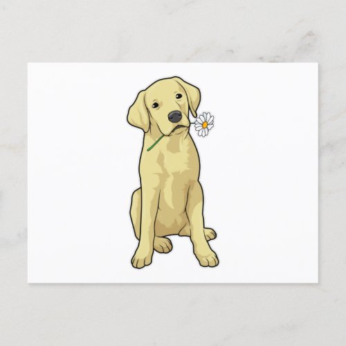 Labrador Daisy Postcard