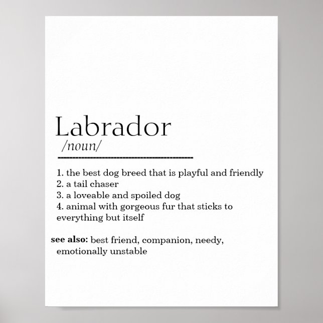 Labrador Definition  Poster (Front)