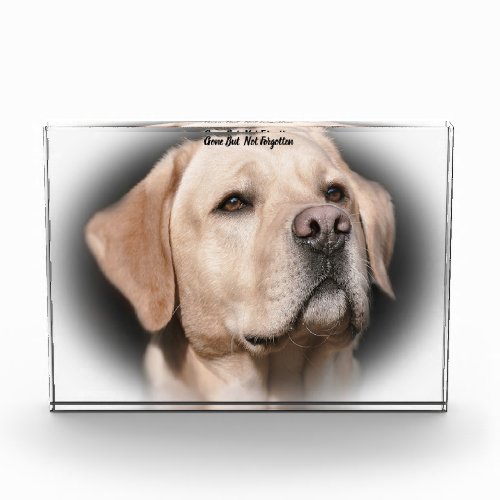 Labrador Dog Acrylic Award