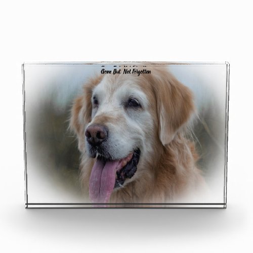 Labrador Dog Acrylic Award