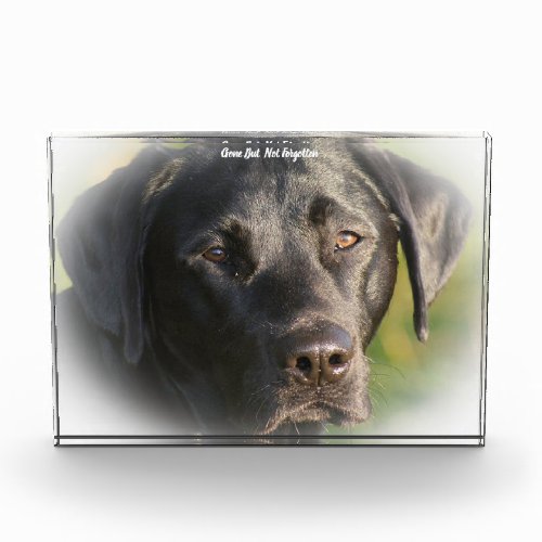 Labrador Dog Acrylic Award