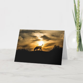 Labrador Dog at Sunset Greetings Card