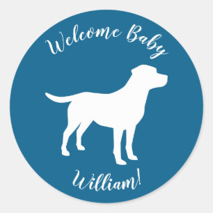 Labrador Dog Baby Shower Blue Boy Lab Classic Round Sticker