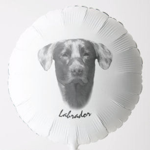 Labrador Dog beautiful Balloon