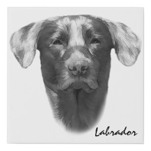 Labrador Dog beautiful Faux Canvas Print