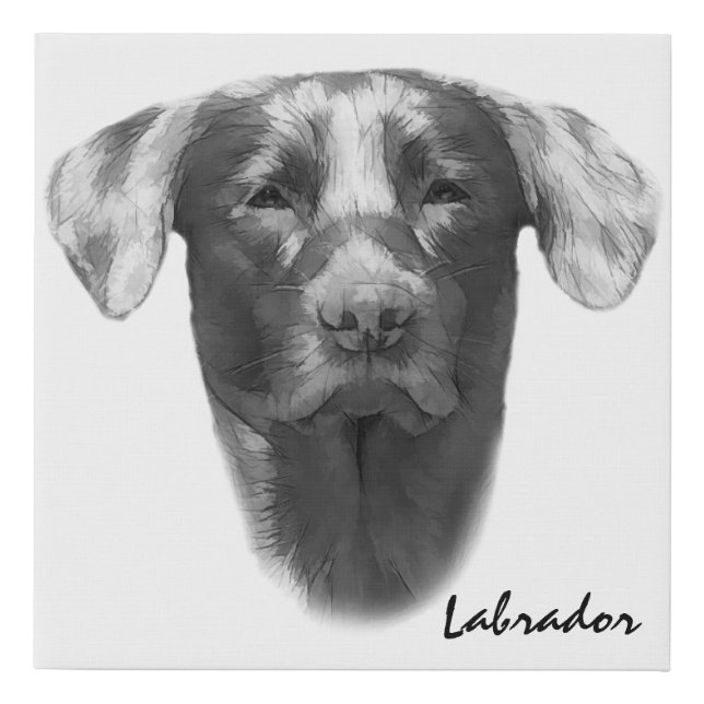 Labrador Dog beautiful Faux Canvas Print (Front)