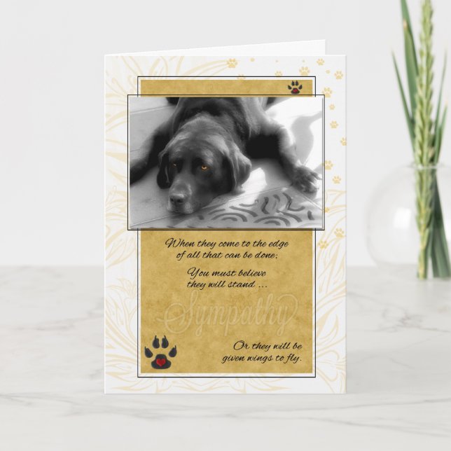Labrador Dog Black White with Yellow Pet Sympathy Card (Front)