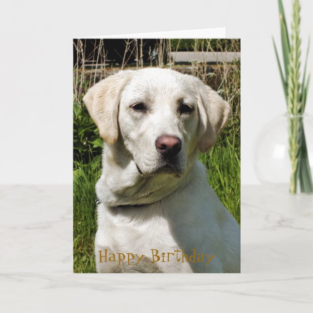 LABRADOR DOG CARD (Front)