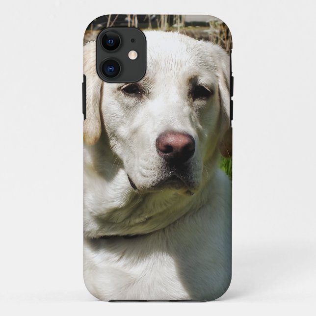 LABRADOR DOG Case-Mate iPhone CASE (Back)