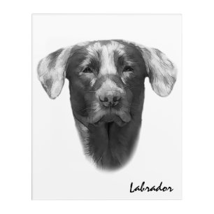 Labrador Dog cool customizable Acrylic Print