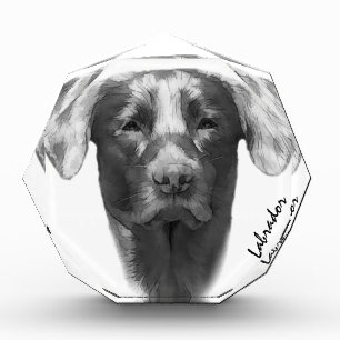 Labrador Dog cool Photo Block