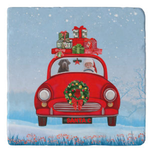 Labrador Dog In Car With Santa Claus  Trivet