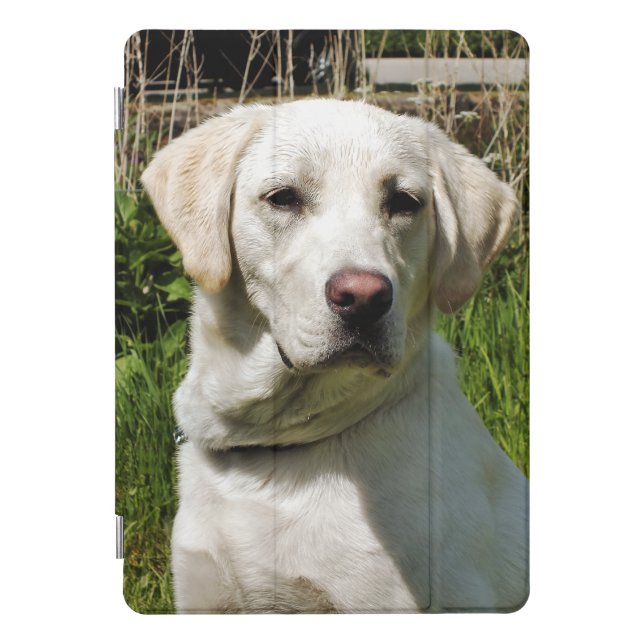 LABRADOR DOG  iPad PRO COVER (Front)