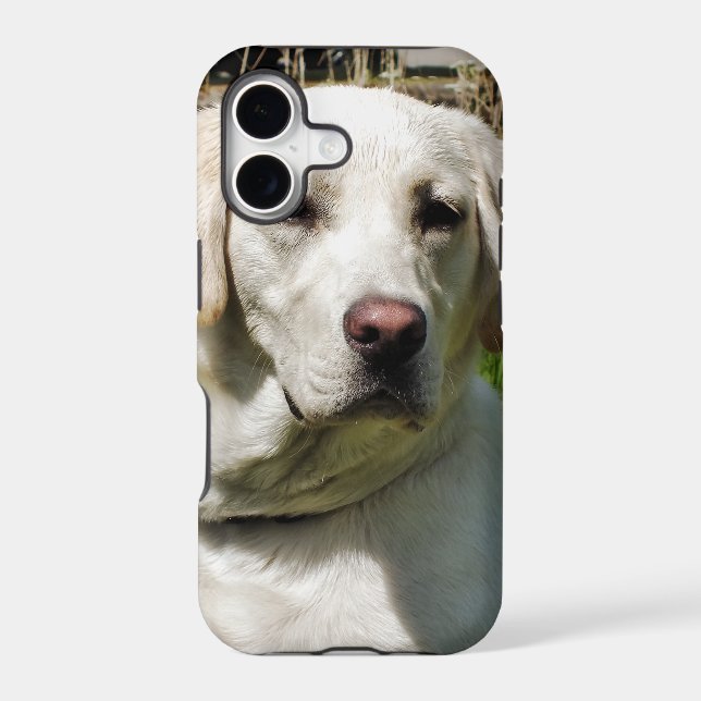 LABRADOR DOG IPHONE CASE (Back)