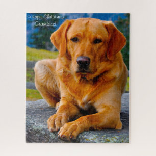 Labrador Dog. Jigsaw Puzzle